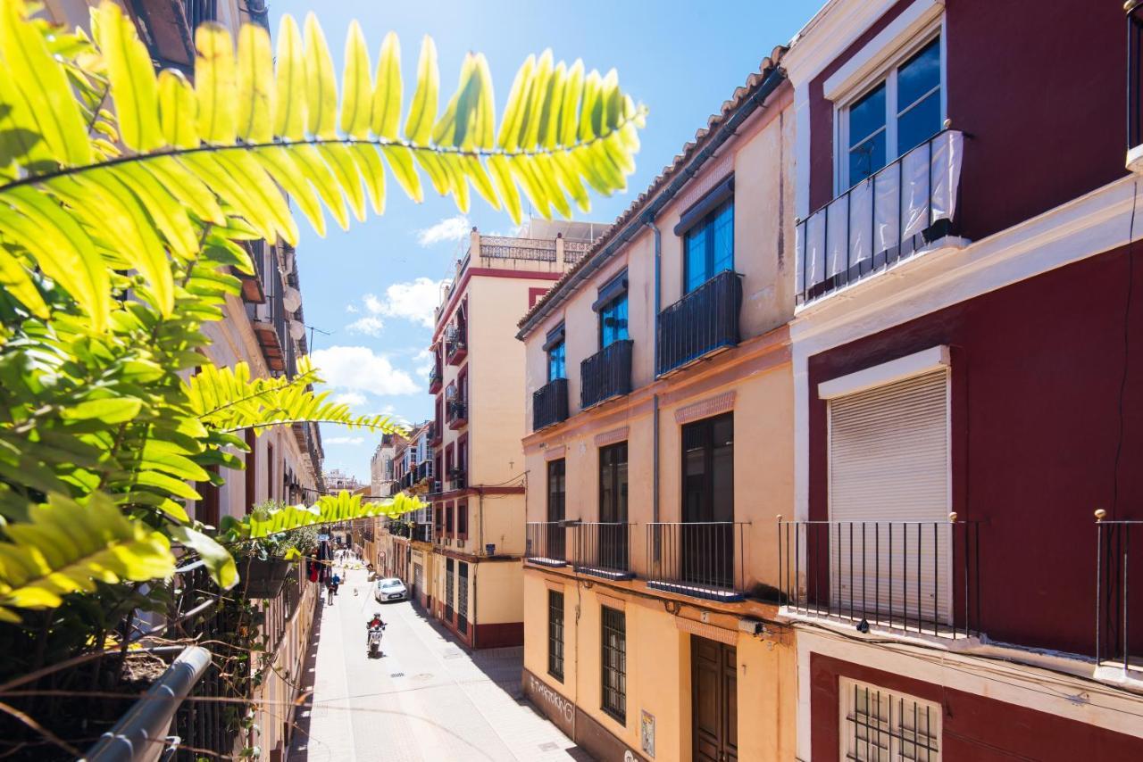 Malaga Tour Apartment- Elegance & Confort In The Historic Center Eksteriør billede